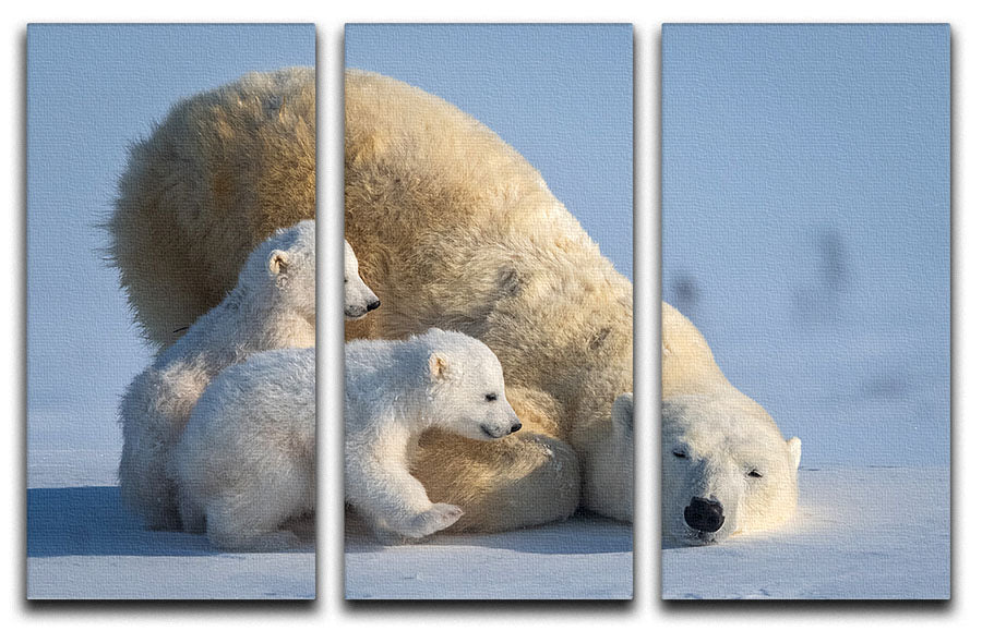 Mum Play together 3 Split Panel Canvas Print showcasing three high-quality canvases with a cohesive design, perfect for home decor.