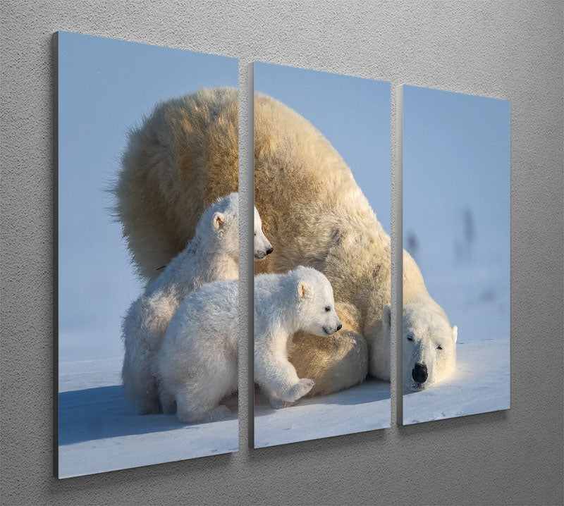 Mum Play together 3 Split Panel Canvas Print showcasing three high-quality canvases with a cohesive design, perfect for home decor.