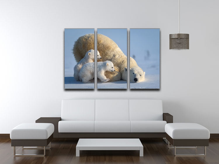 Mum Play together 3 Split Panel Canvas Print showcasing three high-quality canvases with a cohesive design, perfect for home decor.