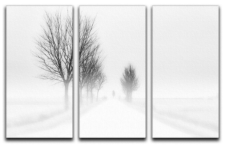 My Tiny World 3 Split Panel Canvas Print featuring three high-quality panels with captivating designs, perfect for enhancing any room's decor.