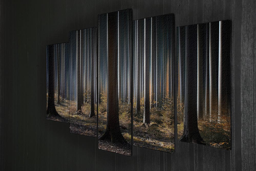 Mystic Wood 5 Split Panel Canvas artwork featuring a serene forest scene divided into five panels, showcasing depth and vibrant colors.