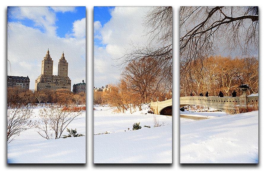 A stunning 3-panel canvas artwork depicting a winter panorama of Central Park in New York City, showcasing snow-covered trees and serene landscapes.
