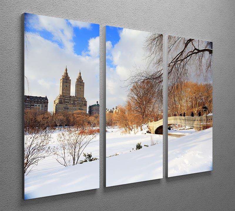 A stunning 3-panel canvas artwork depicting a winter panorama of Central Park in New York City, showcasing snow-covered trees and serene landscapes.