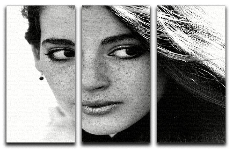 A stunning 3-panel canvas print featuring Nigella Lawson from 1983, showcasing vibrant colors and artistic design.