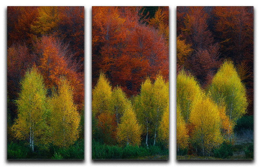 Nimbrethil 3 Split Panel Canvas Print showcasing a stunning design with three panels, perfect for enhancing home decor.