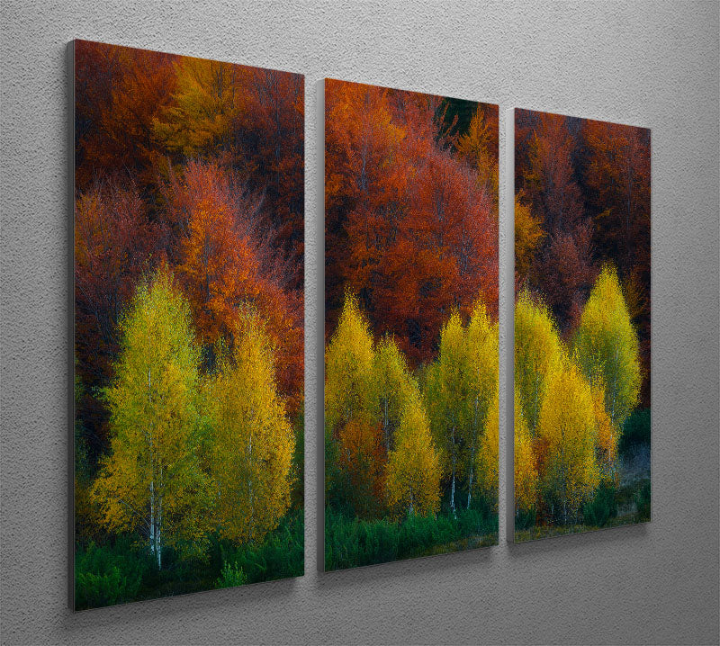 Nimbrethil 3 Split Panel Canvas Print showcasing a stunning design with three panels, perfect for enhancing home decor.