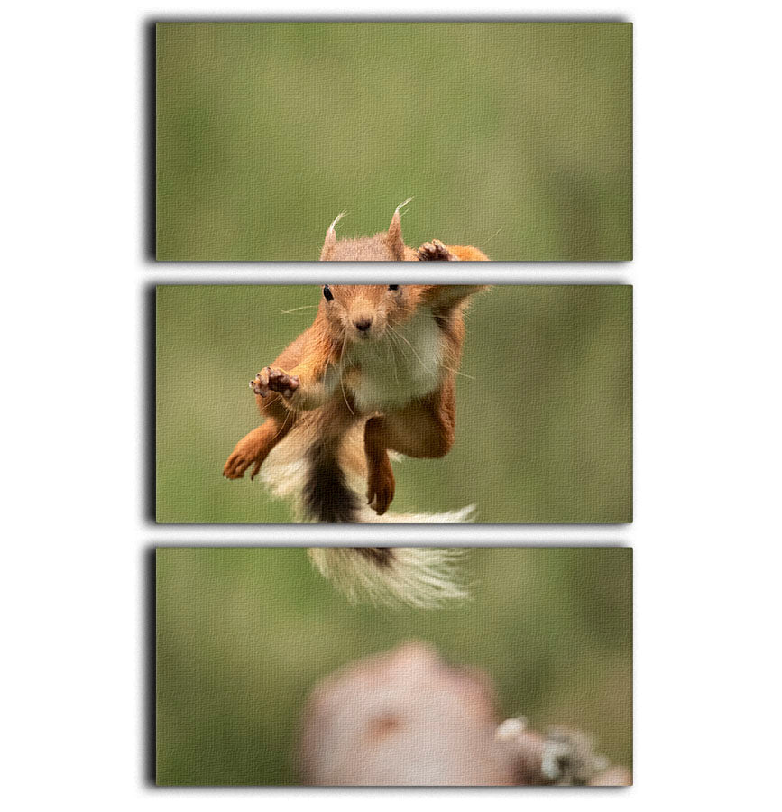 Ninja Dancing 3 Split Panel Canvas Print showcasing vibrant colors and dynamic design, perfect for modern decor.