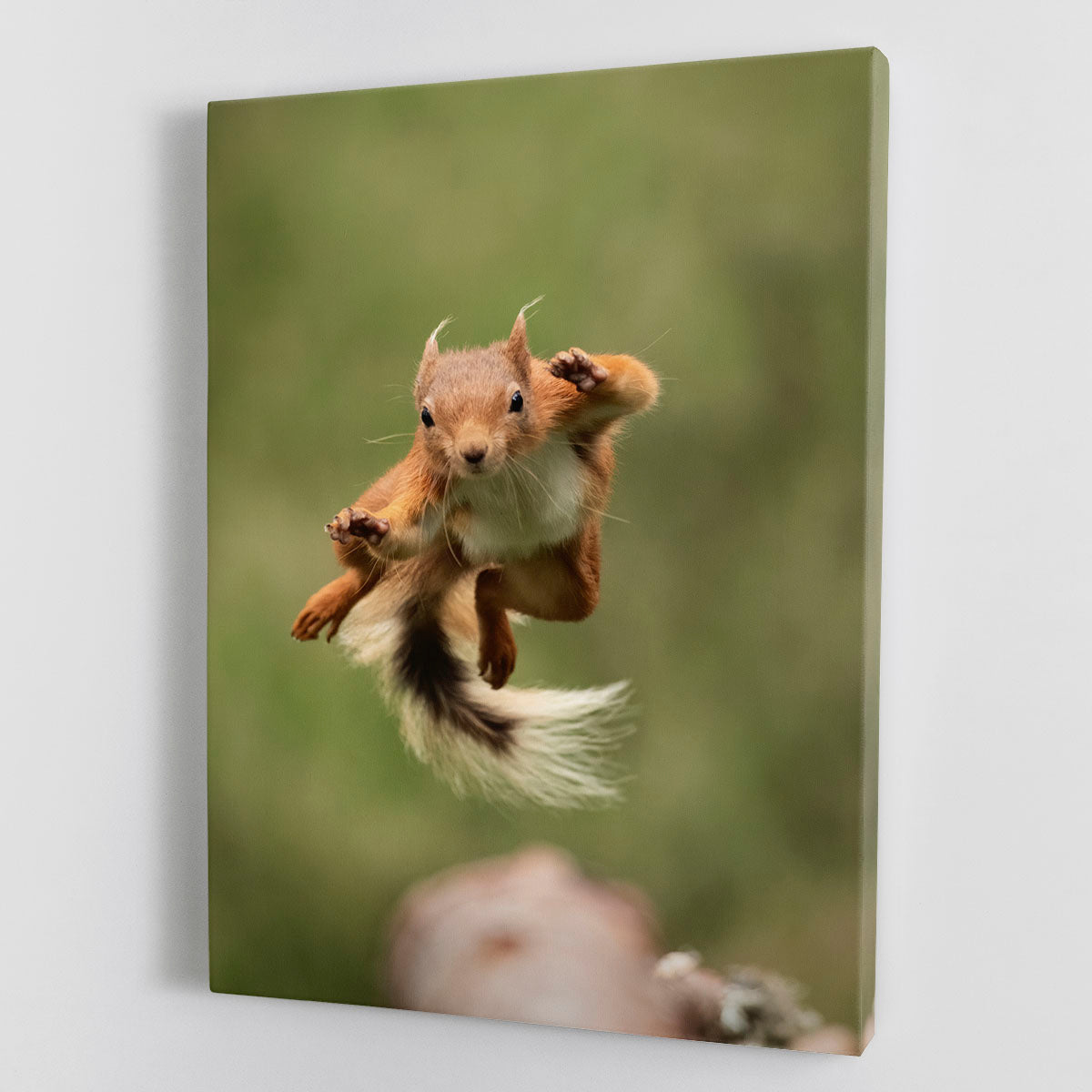 A vibrant Ninja Dancing Canvas Print showcasing a dynamic ninja figure in motion, perfect for modern decor.