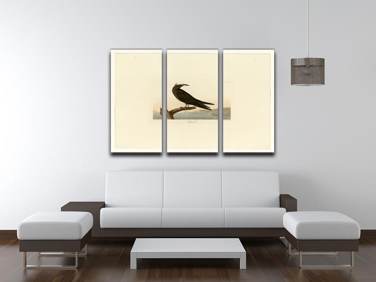 Noddy Tern 3-panel canvas print showcasing vibrant colors and elegant design, perfect for home decor.