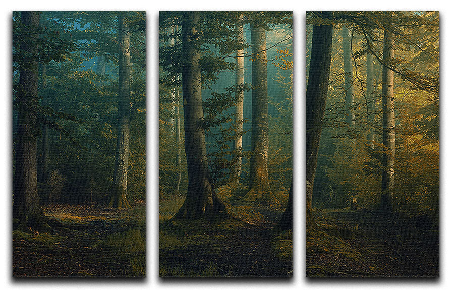 A beautiful 3-panel canvas print featuring vibrant October colors, showcasing a blend of nature scenes and abstract designs.