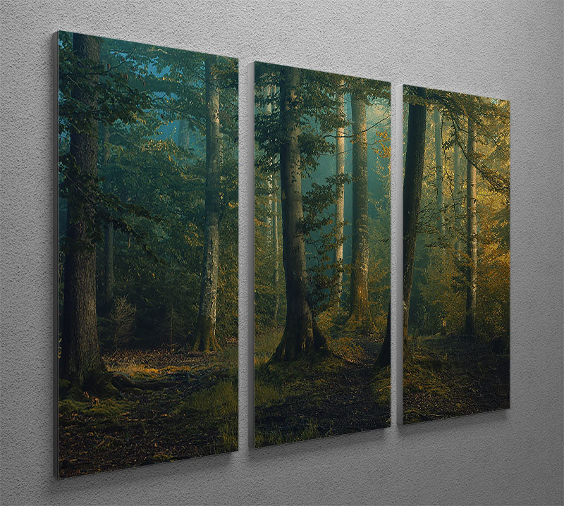 A beautiful 3-panel canvas print featuring vibrant October colors, showcasing a blend of nature scenes and abstract designs.