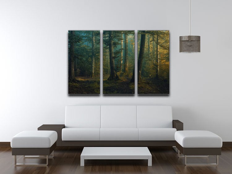 A beautiful 3-panel canvas print featuring vibrant October colors, showcasing a blend of nature scenes and abstract designs.