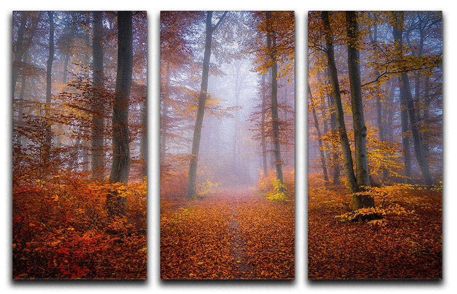 Three-panel canvas print featuring a captivating October trail design, perfect for enhancing any living space.