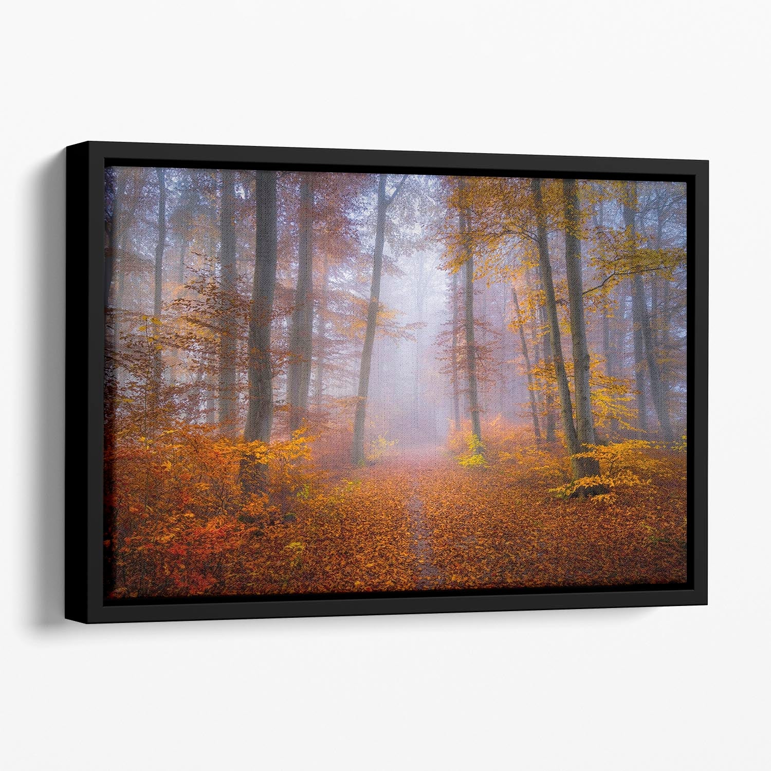 October Trail Floating Framed Canvas featuring vibrant abstract colors in an elegant wooden frame, perfect for home decor.