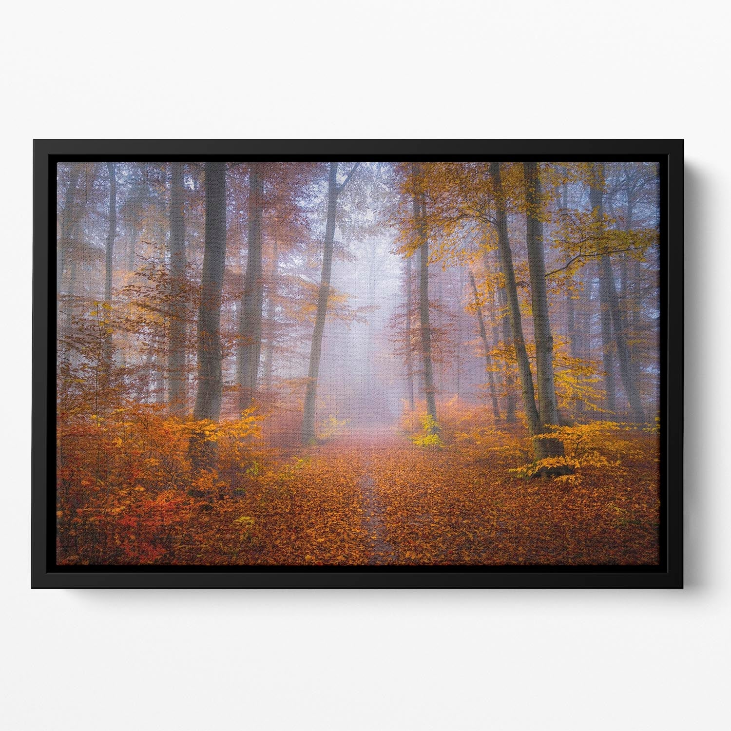 October Trail Floating Framed Canvas featuring vibrant abstract colors in an elegant wooden frame, perfect for home decor.