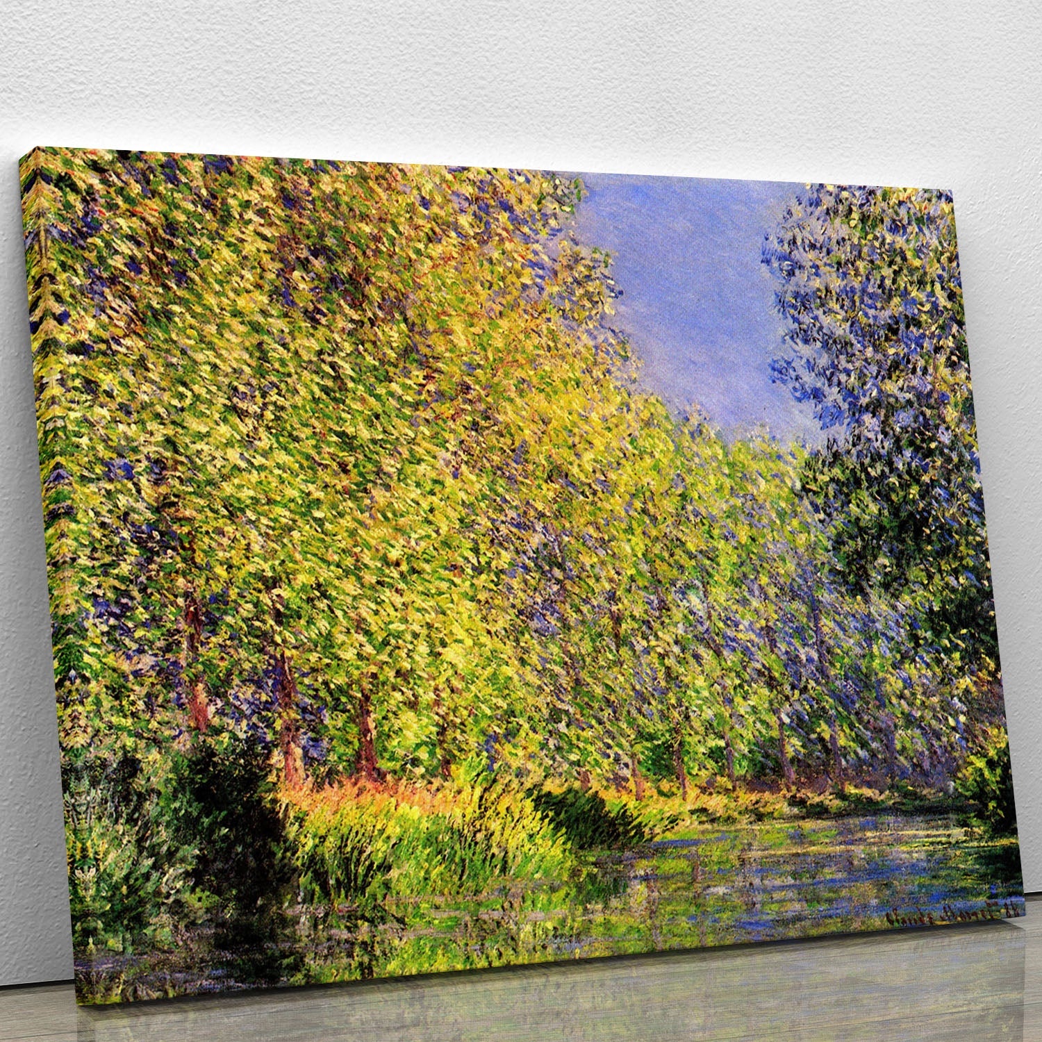 A vibrant collection of canvas prints and posters showcasing modern art, nature scenes, and vintage designs, perfect for home decor.