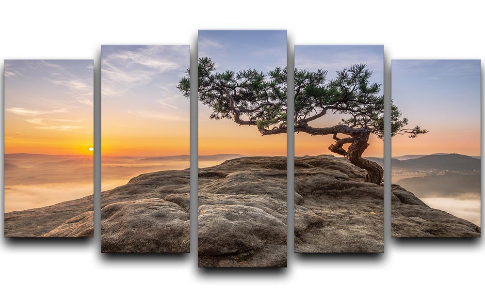 Old Pine 5 Split Panel Canvas artwork featuring five panels with a cohesive nature-inspired design.