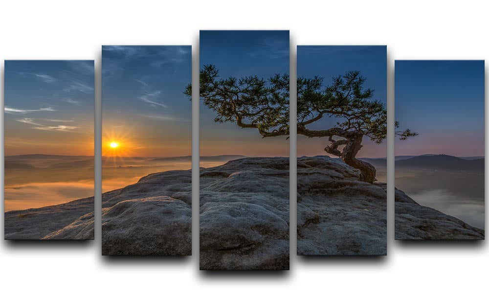 Old Pine 5 Split Panel Canvas artwork featuring five panels with a cohesive nature-inspired design.