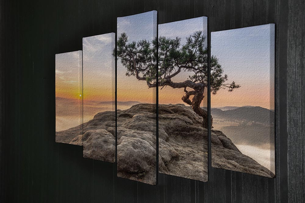 Old Pine 5 Split Panel Canvas artwork featuring five panels with a cohesive nature-inspired design.