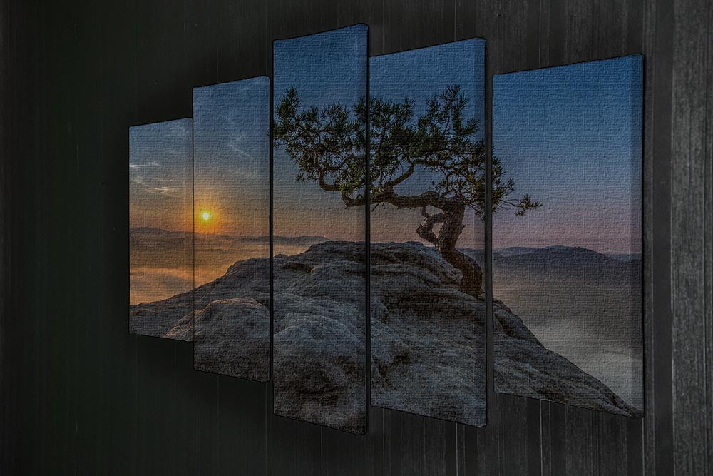 Old Pine 5 Split Panel Canvas artwork featuring five panels with a cohesive nature-inspired design.