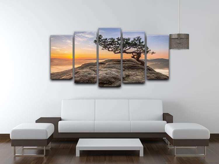 Old Pine 5 Split Panel Canvas artwork featuring five panels with a cohesive nature-inspired design.