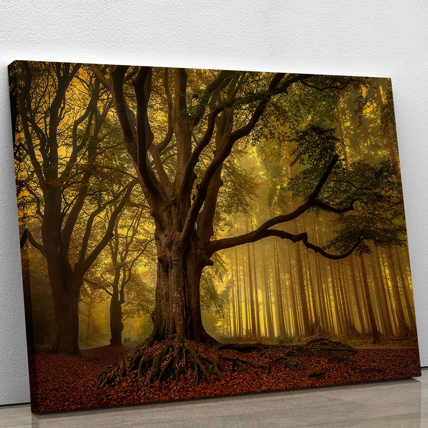 A beautiful canvas print featuring an ancient tree, showcasing intricate details and vibrant colors, perfect for home or office decor.