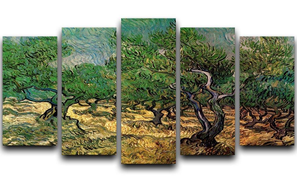 Olive Grove 2 by Van Gogh, a 5 split panel canvas artwork showcasing vibrant olive trees in a serene landscape.