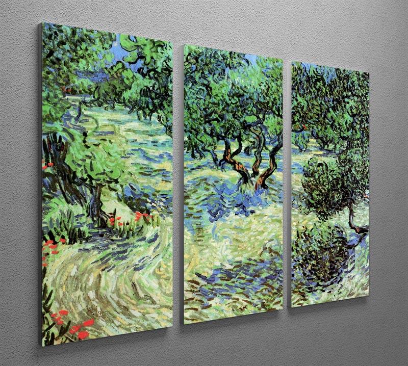 Olive Grove by Van Gogh 3 Split Panel Canvas Print showcasing vibrant colors and intricate details of the artwork.
