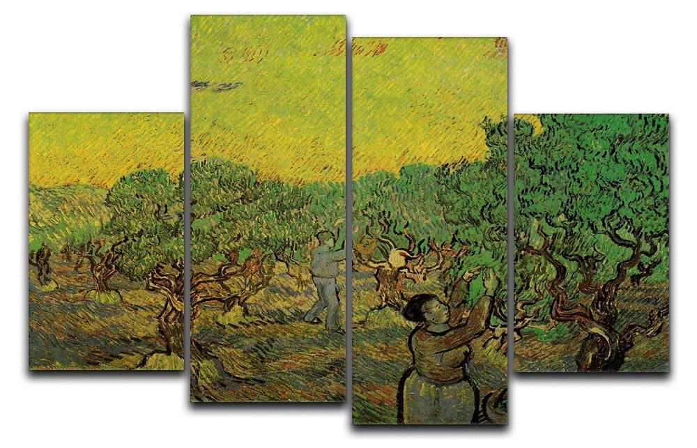 A 4-split canvas artwork featuring Van Gogh's Olive Grove with Picking Figures, showcasing vibrant colors and dynamic design.