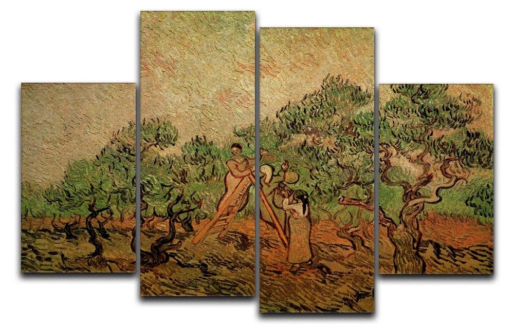 A 4-split canvas artwork featuring Van Gogh's Olive Picking, showcasing vibrant colors and dynamic design across four panels.