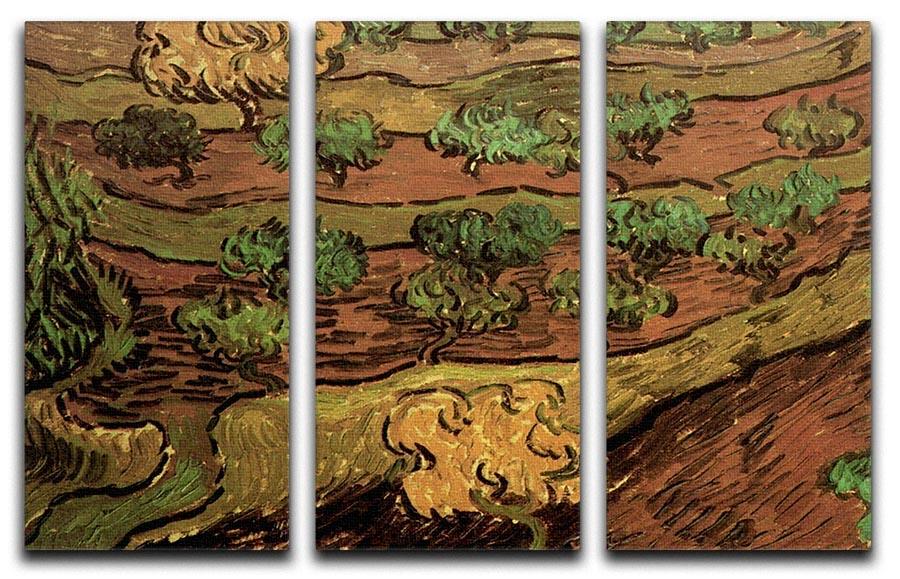 Three-panel canvas art featuring Van Gogh's Olive Trees against a slope, showcasing vibrant colors and dynamic brush strokes.