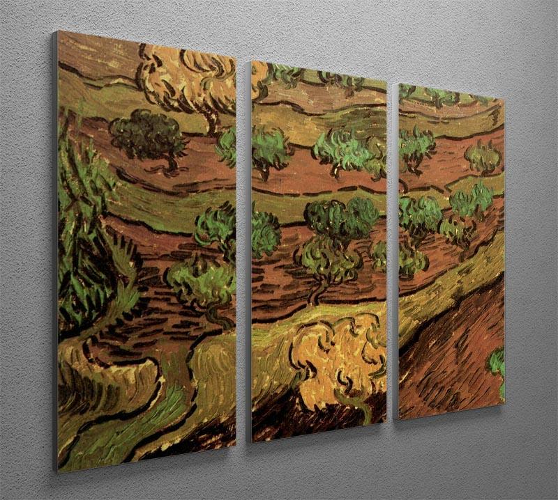 Three-panel canvas art featuring Van Gogh's Olive Trees against a slope, showcasing vibrant colors and dynamic brush strokes.