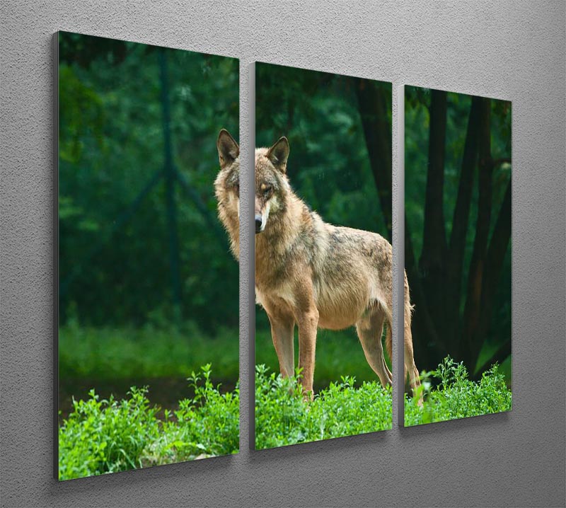 Three-panel canvas print featuring a wolf standing on a green hill, showcasing vibrant colors and detailed artwork.