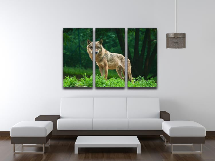 Three-panel canvas print featuring a wolf standing on a green hill, showcasing vibrant colors and detailed artwork.