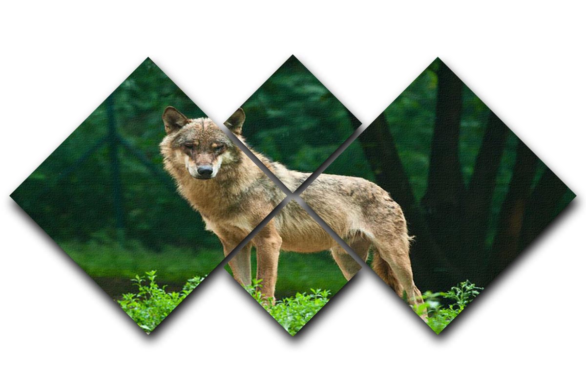 A majestic wolf standing on a vibrant green hill, depicted in a 4-square multi-panel canvas artwork.