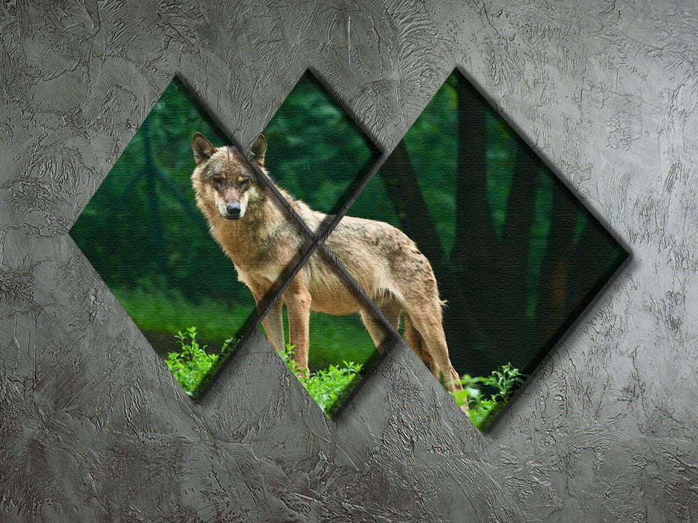 A majestic wolf standing on a vibrant green hill, depicted in a 4-square multi-panel canvas artwork.