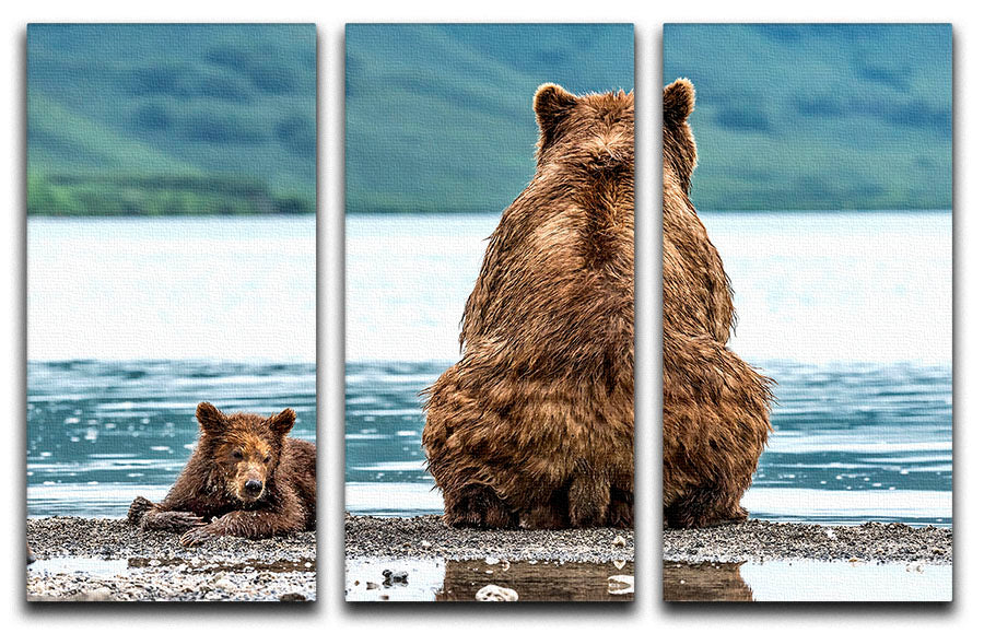 Three-panel canvas print featuring abstract art in contrasting colors, enhancing modern decor.