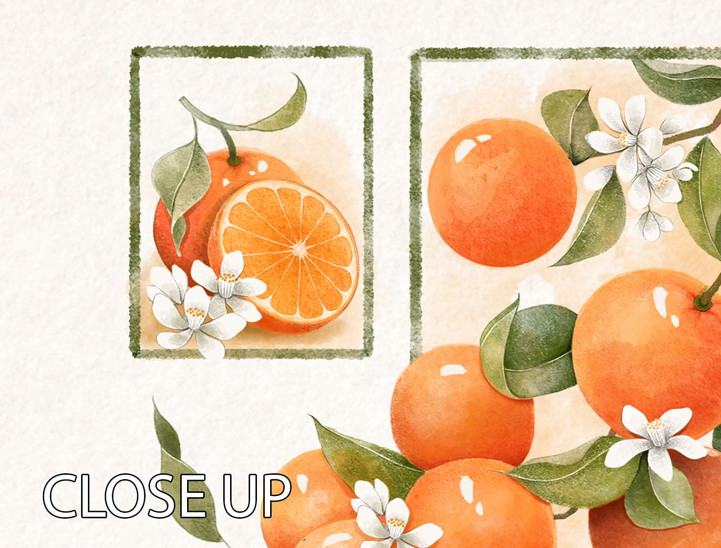 Three-panel canvas print featuring vibrant orange blossoms, elegantly displayed for home decor.