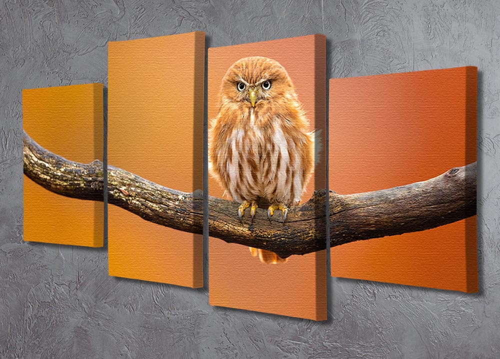 A vibrant 4-split canvas artwork featuring an Orange Ferruginous Pygmy Owl, showcasing its intricate details and dynamic design.