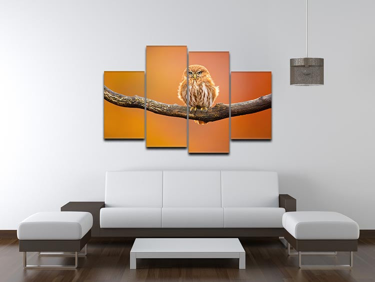 A vibrant 4-split canvas artwork featuring an Orange Ferruginous Pygmy Owl, showcasing its intricate details and dynamic design.