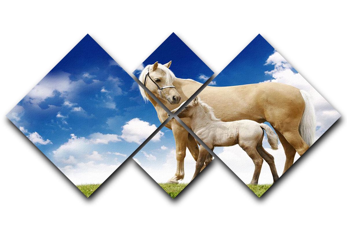 A beautiful 4-square canvas featuring Palomino horses against a grey gradient background, showcasing their elegance and grace.