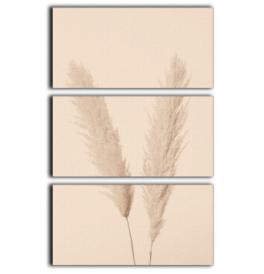 Pampas Grass Beige 01 3 Split Panel Canvas Print featuring elegant beige tones and a serene design, perfect for home decor.