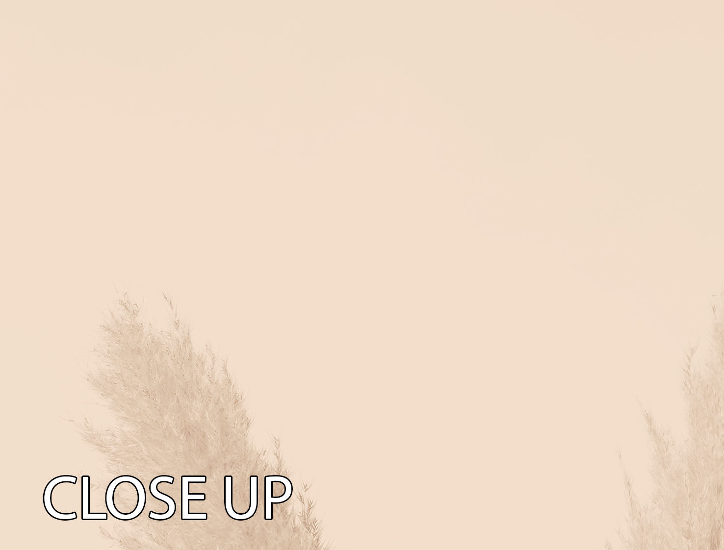 Pampas Grass Beige 01 3 Split Panel Canvas Print featuring elegant beige tones and a serene design, perfect for home decor.