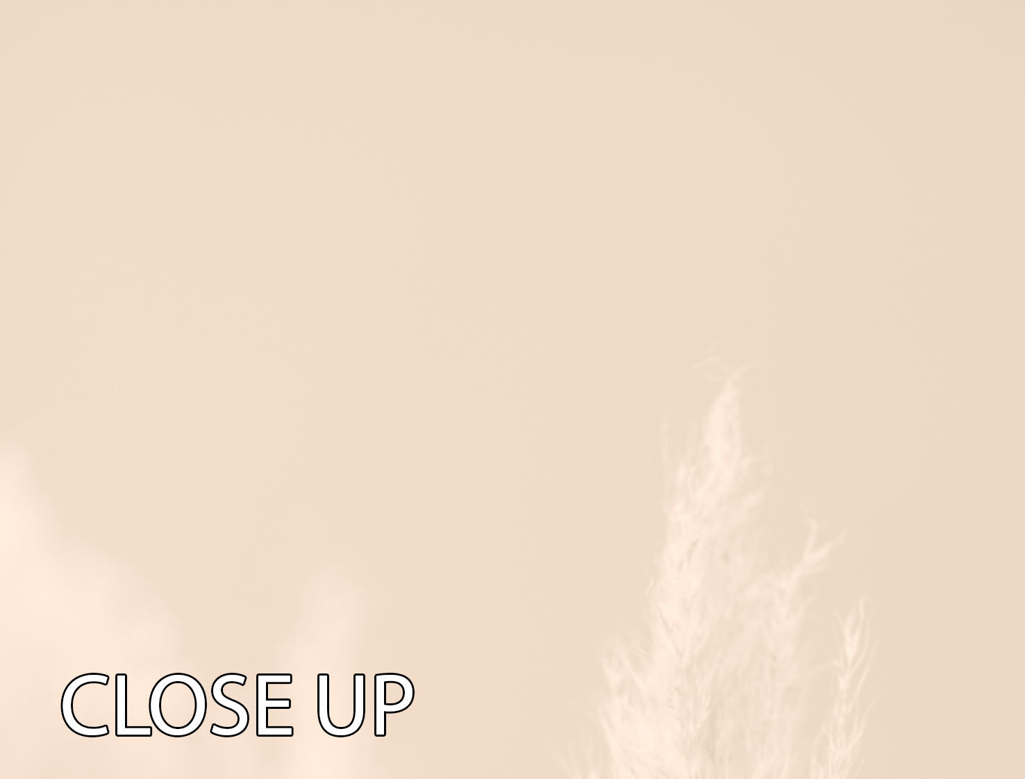 Pampas Grass Beige 04 3 Split Panel Canvas Print showcasing elegant grass design on three canvases.