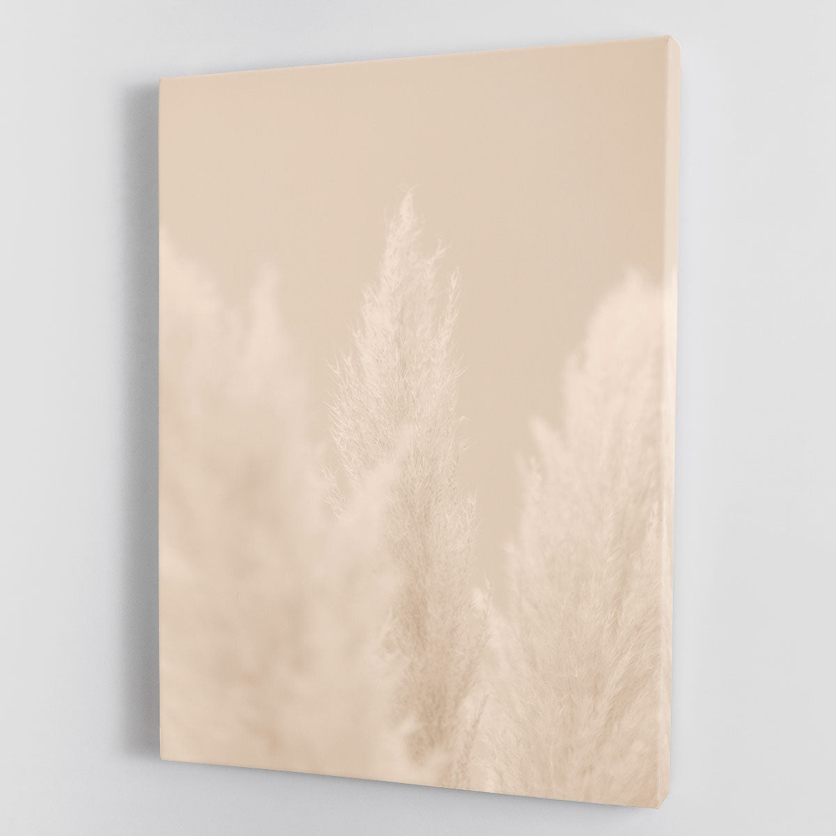 Pampas Grass Beige 04 canvas print showcasing elegant beige tones and delicate grass design, perfect for home decor.