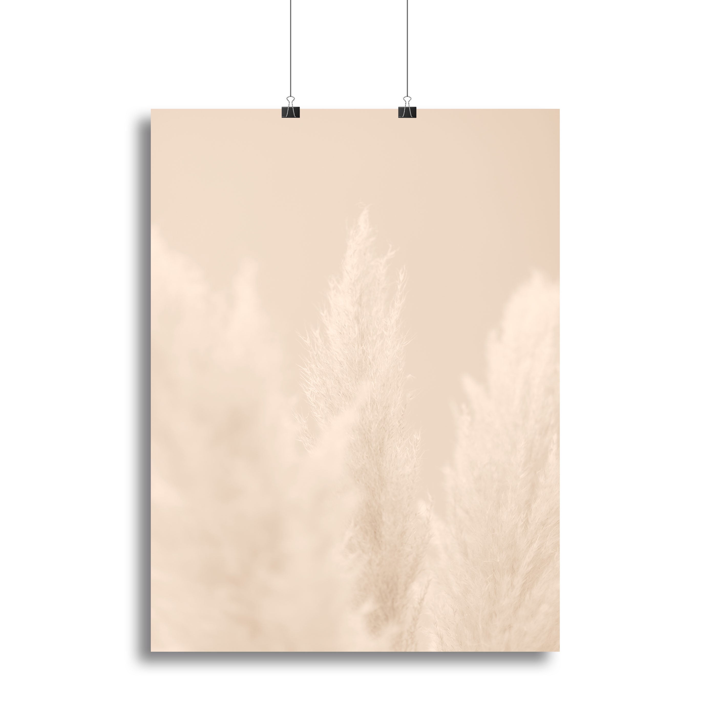 Pampas Grass Beige 04 canvas print showcasing elegant beige tones and delicate grass design, perfect for home decor.