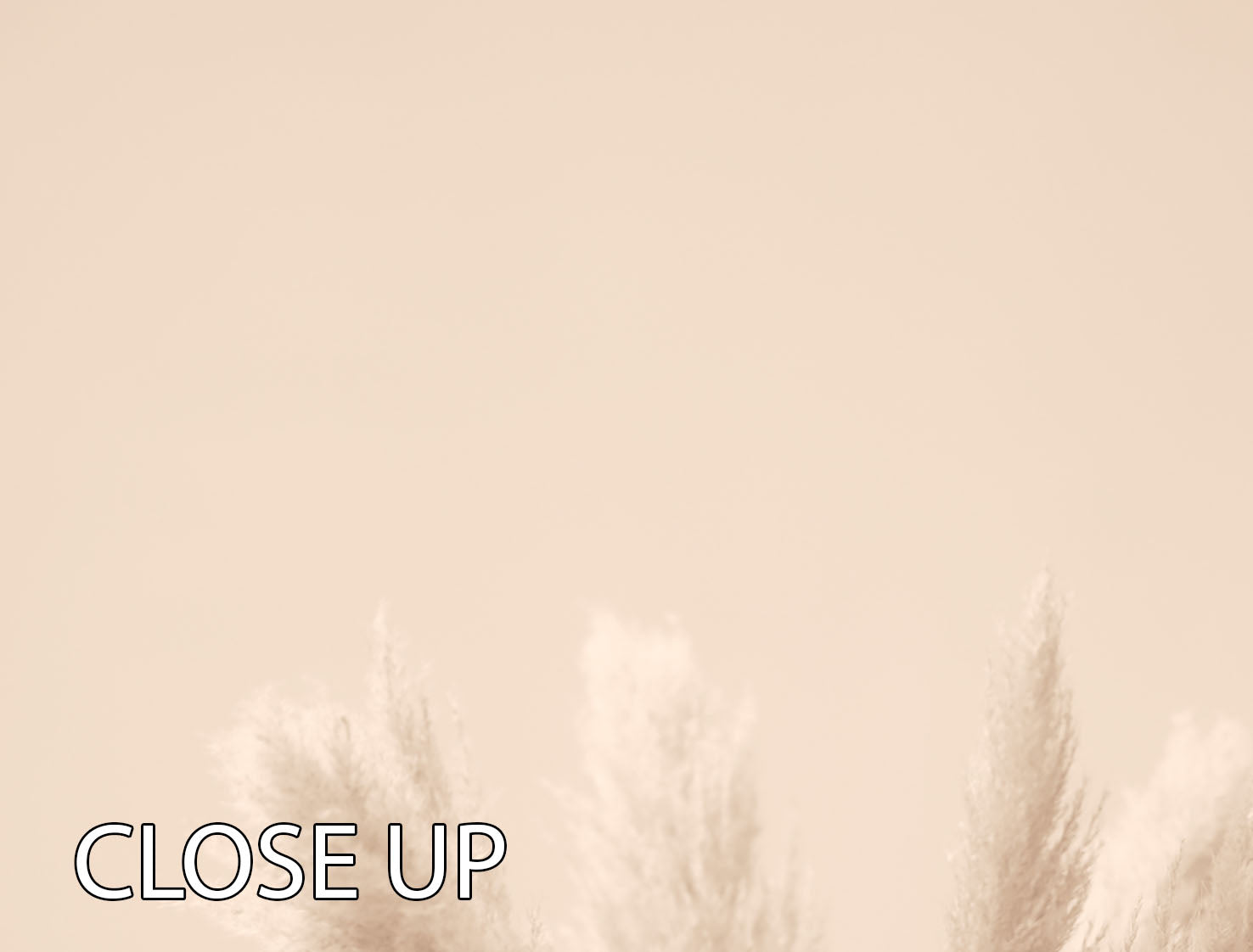 A beautiful 3-panel canvas print featuring Pampas grass in beige tones, perfect for home decor.