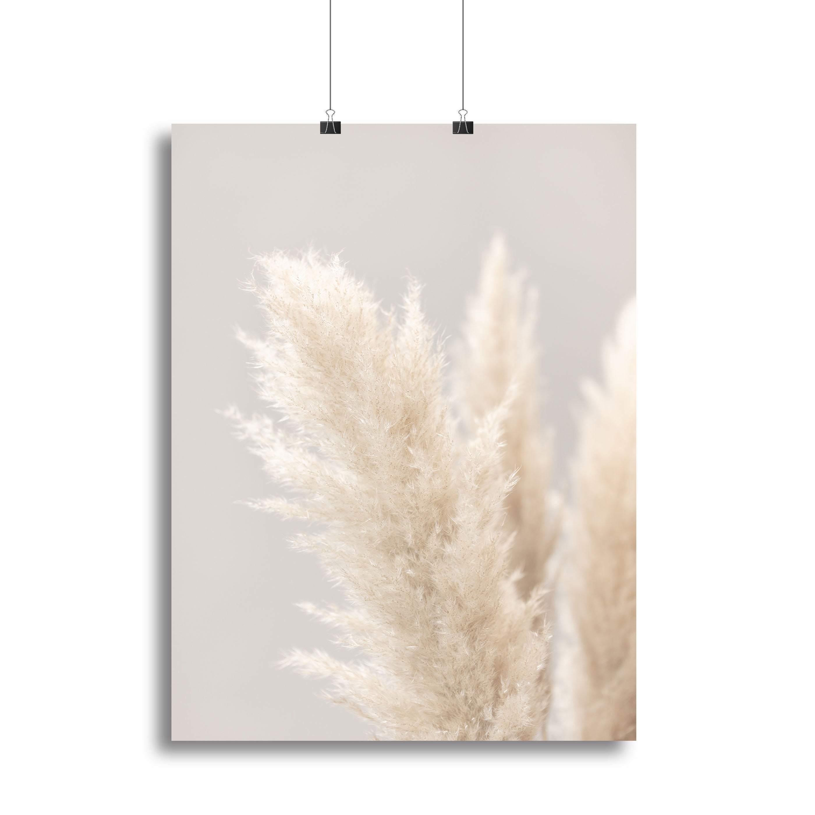 Pampas Grass Grey 03 canvas print showcasing elegant pampas grass design on a grey background, perfect for modern decor.