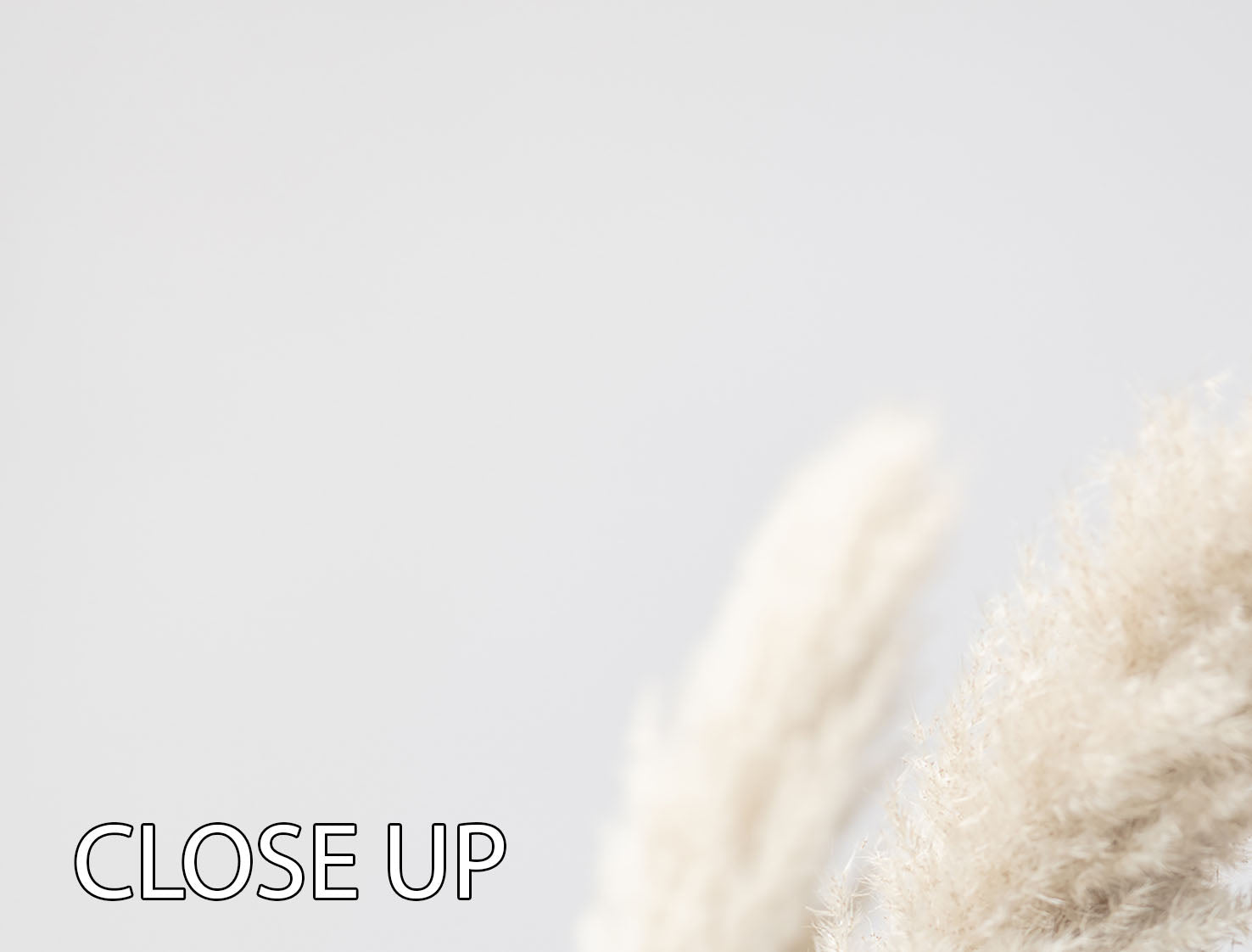 Pampas Grass Grey 3-panel canvas print showcasing elegant grass design, perfect for home decor.