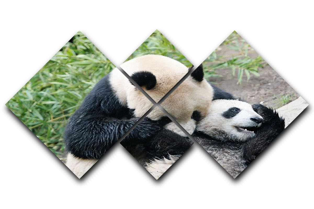 A beautiful multi-panel canvas artwork featuring a panda bear and her cub, divided into four equal sections for a striking display.